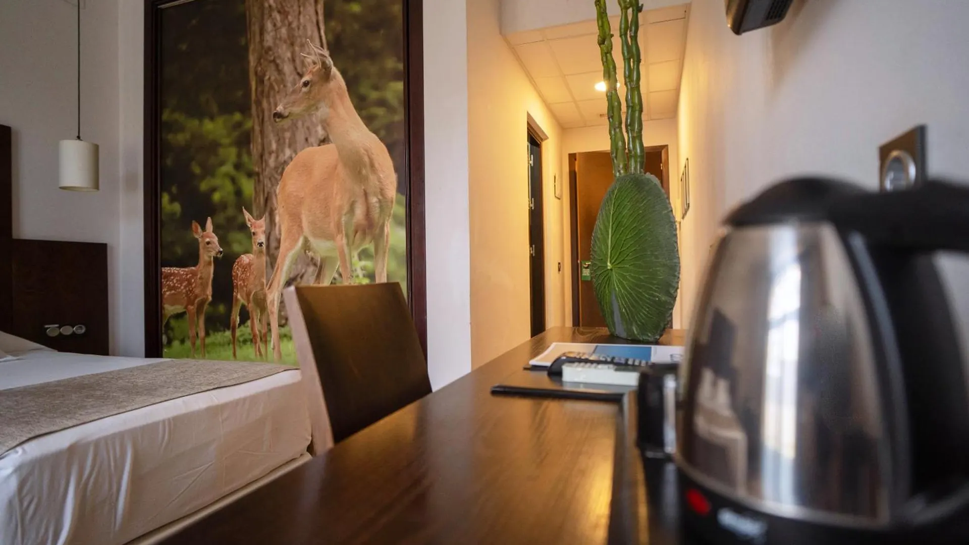 Hotel Albaida Nature ماثاغون 3*,