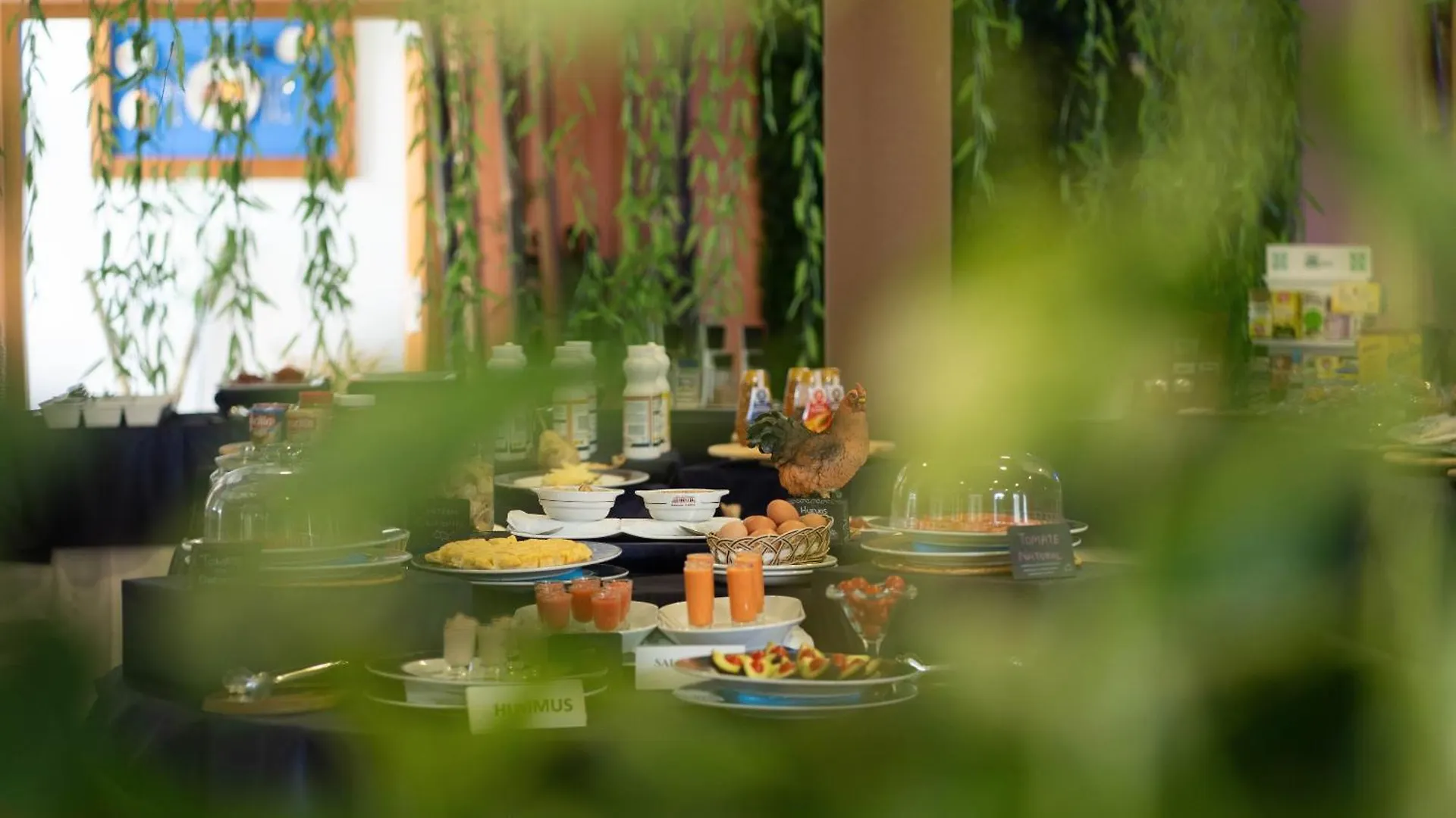 Hotel Albaida Nature Mazagón